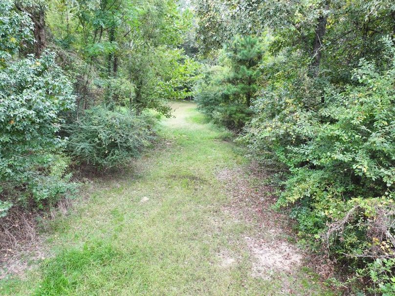 dji_fly_20250924_101520_0555_1758726278339_photo