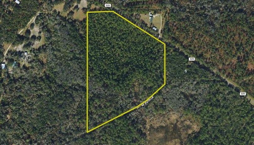 Copy of Alachua_29.99_Zoom