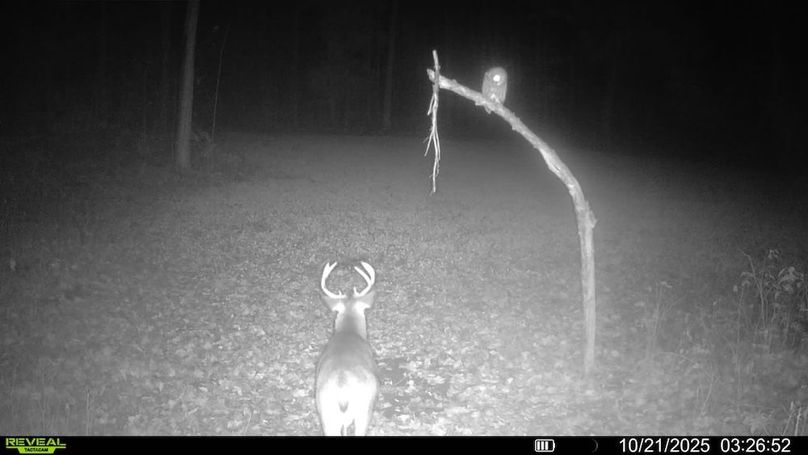 016579004341785-54-4-10212025032652-SYFW00616