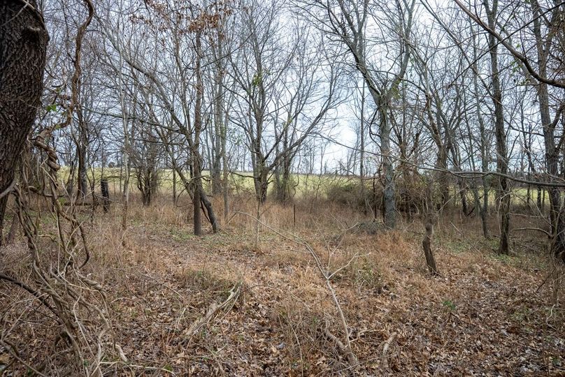 Copy of DSC00759 Large