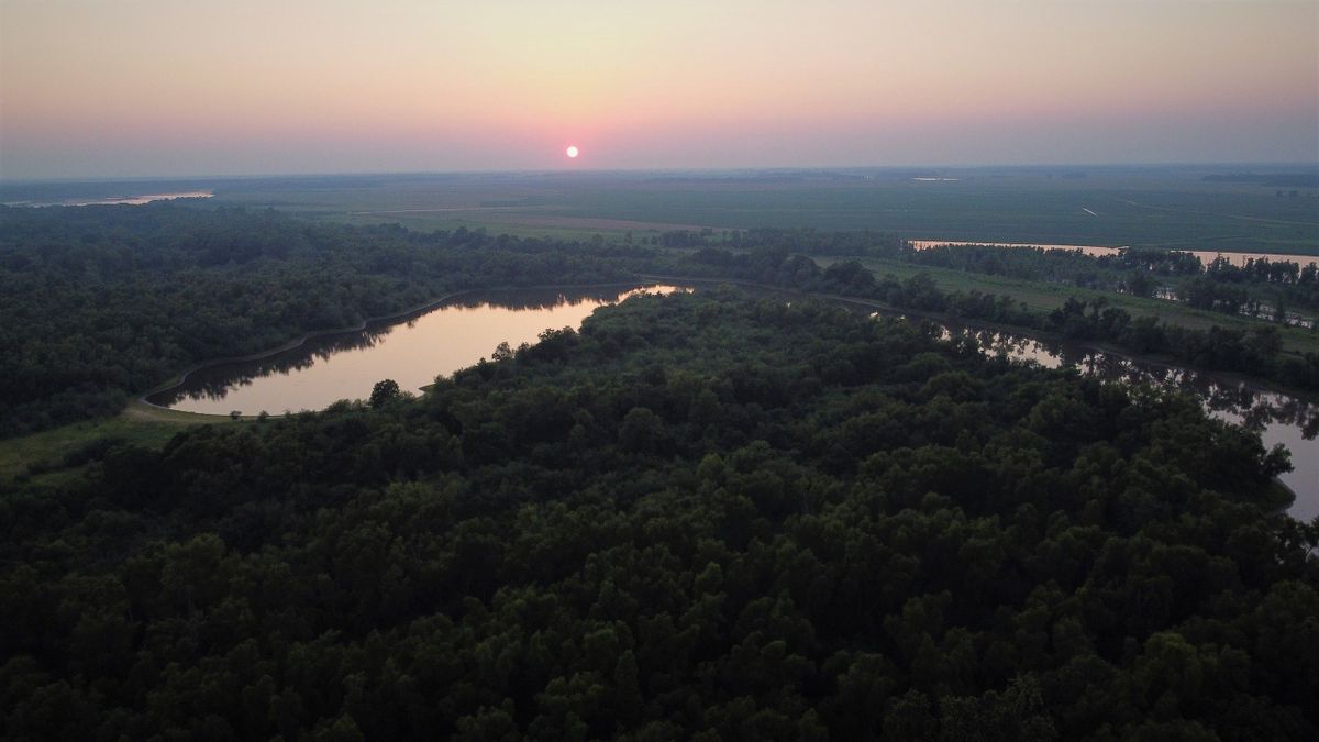 Little Bayou Meto Park Campsite And Hunting Tract Whitetail Properties