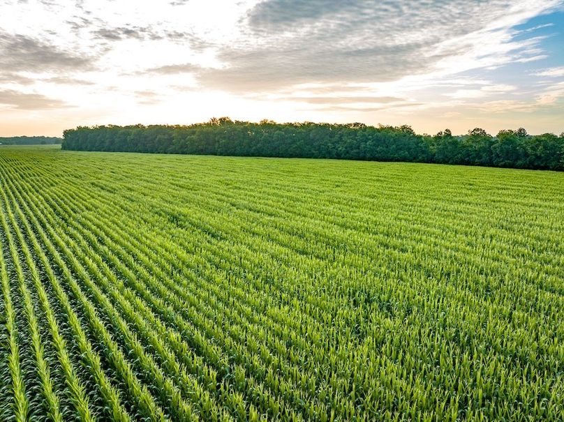 Copy of Noxubee 112.1 +- Tract 1-27