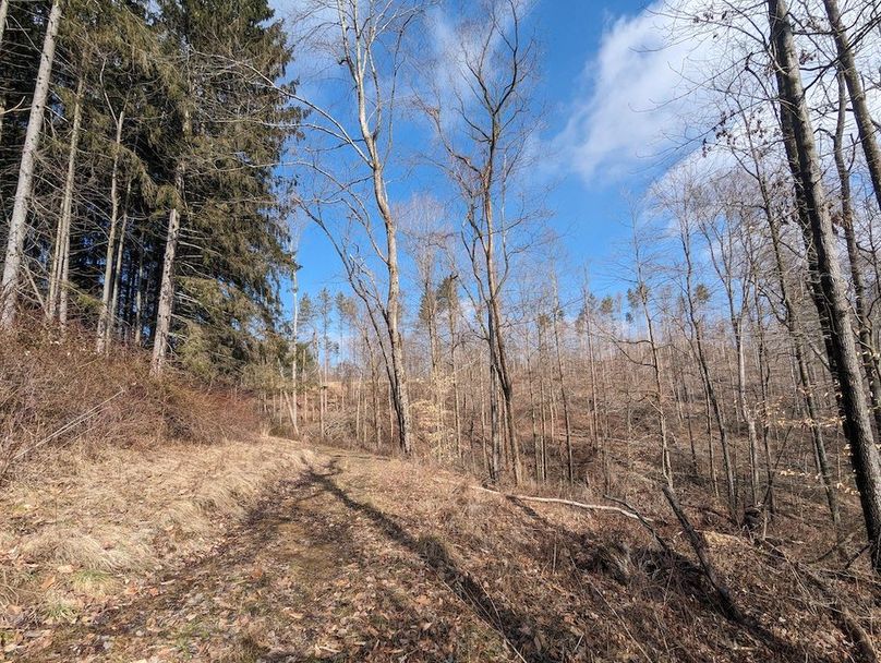 PXL_20240223_162617755