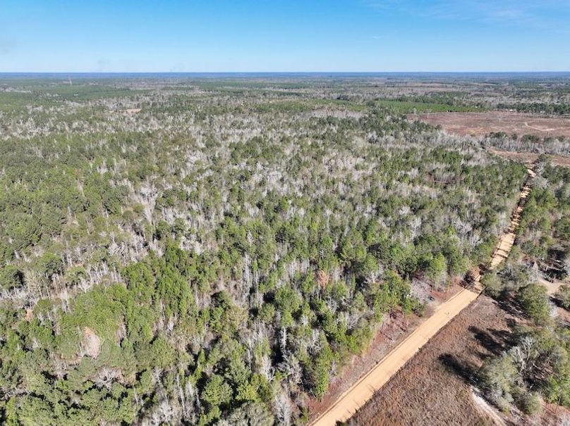 dji_fly_20251128_132804_16_1764354901770_photo