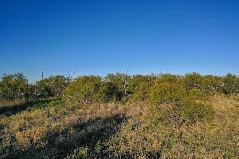 org_eb03e33033ab35dd_1762732032000