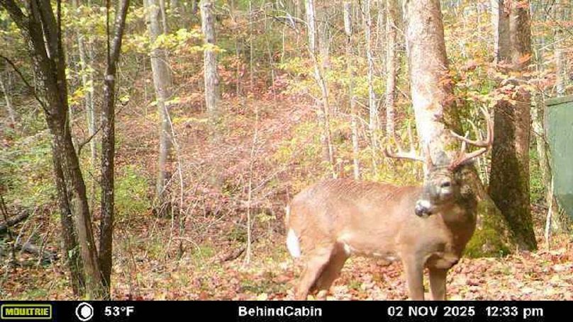 Fleming Petry 115-73