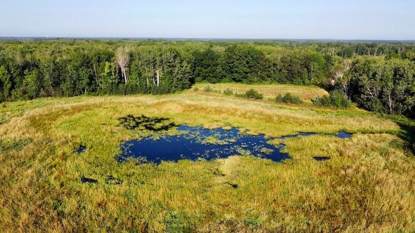 dji_fly_20240802_081638_318_1722657253309_photo_optimized