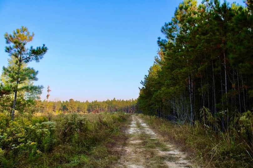 036B2D27-D8F7-46F0-AF84-C54CCC877C91_1_105_c