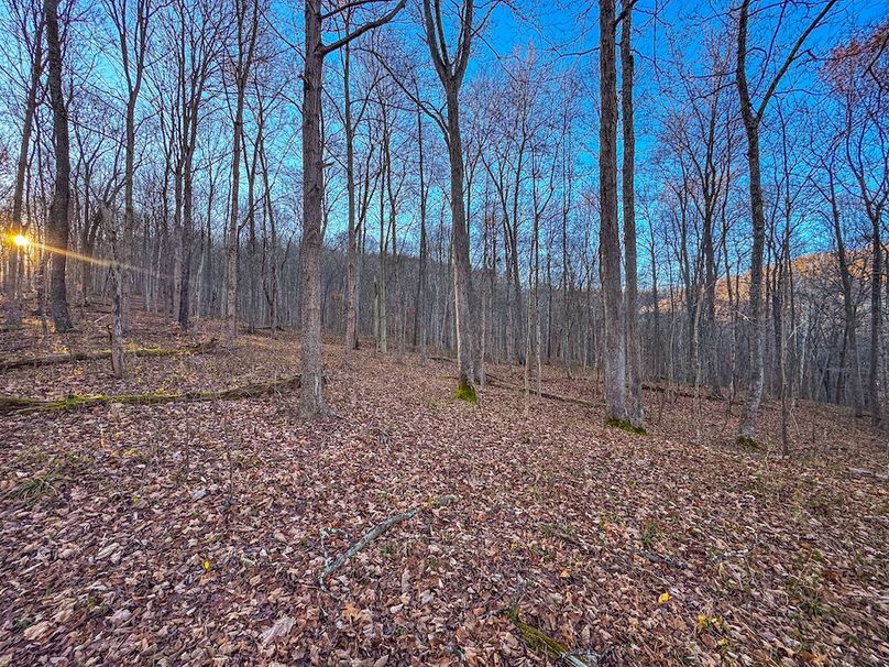 Pleasants_Wood 169.97 AC Cokeley-39