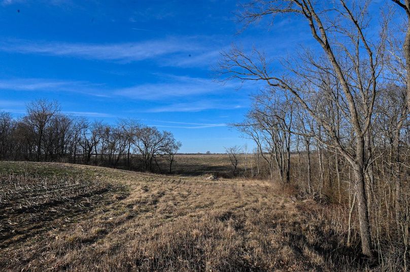 vandalia 450 (2)-2217