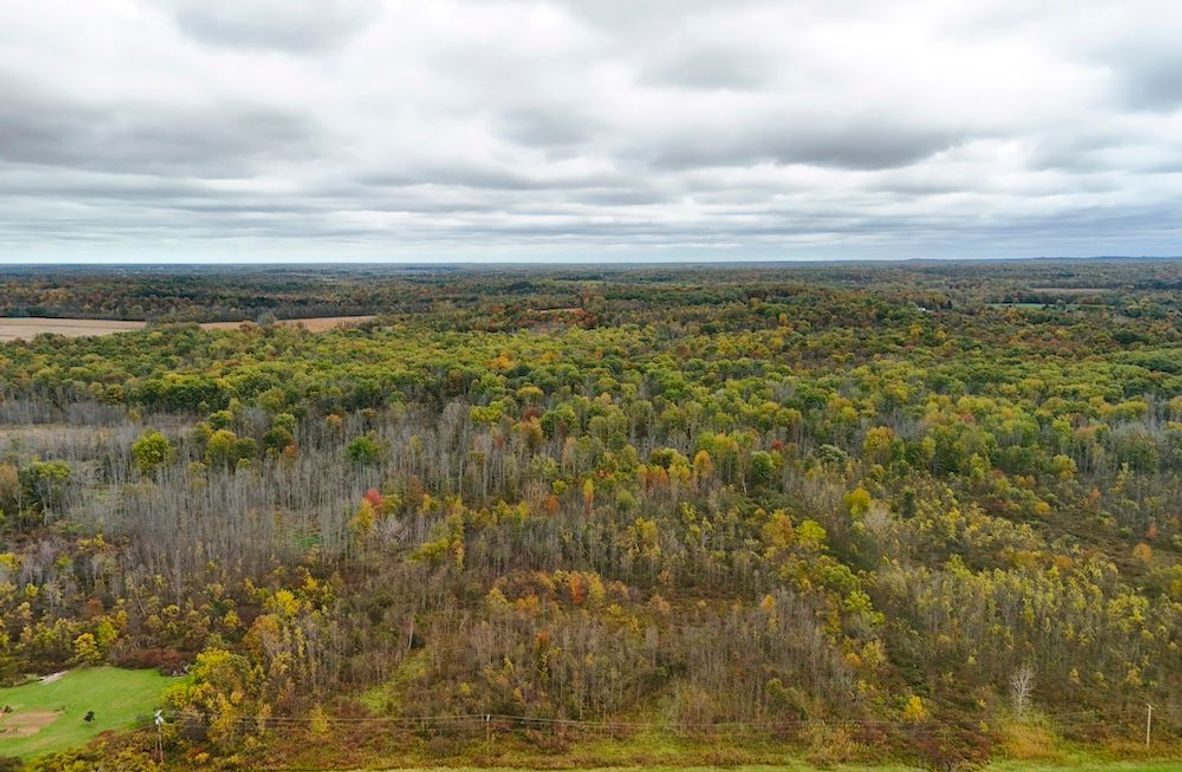 Wayne_29.09_BD_LandNorth_Parcel_5