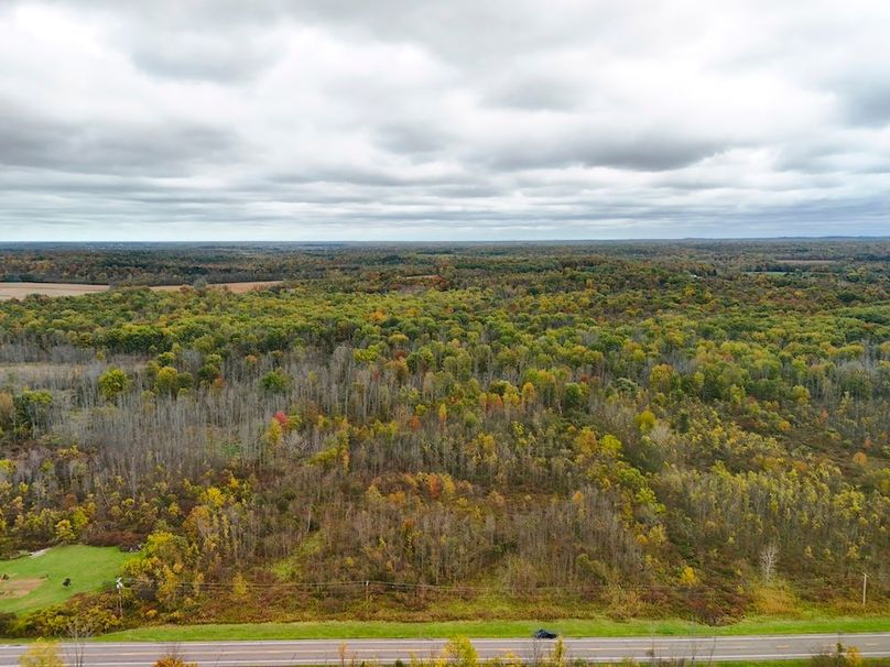 Wayne_29.09_BD_LandNorth_Parcel_5