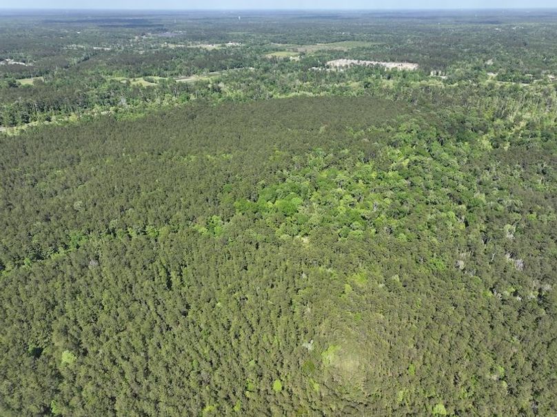 dji_fly_20260413_140954_0048_1776114931584_photo