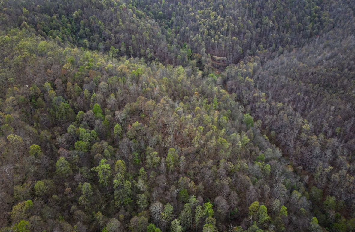 dji_fly_20230423_072230_630_1682249047984_photo