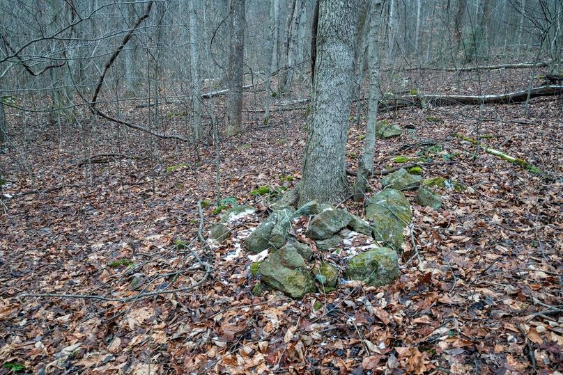 Copy of DSC_4550-Edit Large