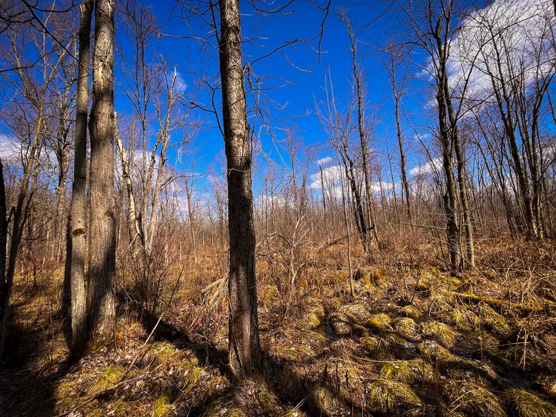 Oswego_165.52_Lashomb_Photos_34