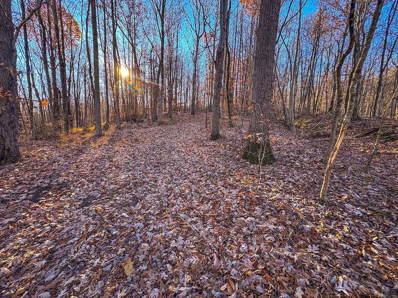 Pleasants_Wood 169.97 AC Cokeley-62