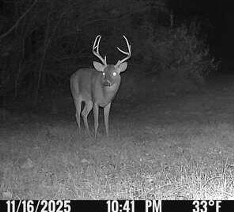 052B4CA7-5168-4A47-A9BE-0CB08B100DD6_4_5005_c