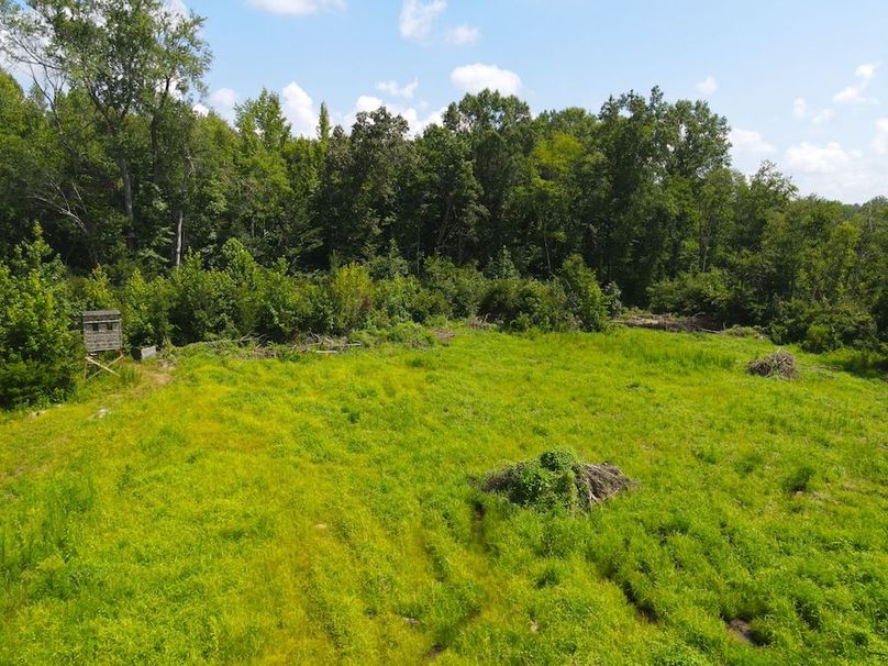 dji_fly_20250729_115156_839_1753804353591_photo