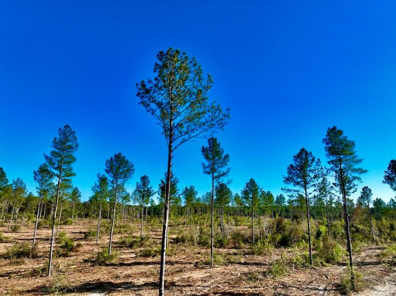 856E34E9-C806-40A5-B018-179A0443D5BE_1_201_a