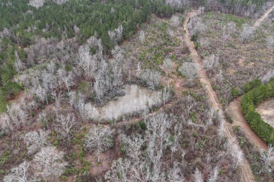DJI_20241230043423_0286_D