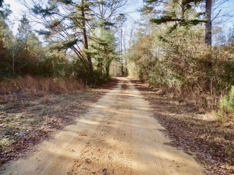 66F3804B-6E88-4742-BC1B-22918F9D8B94_1_105_c