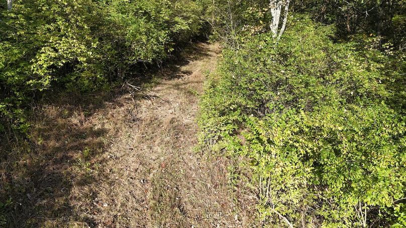 DJI_20251002170406_0384_D