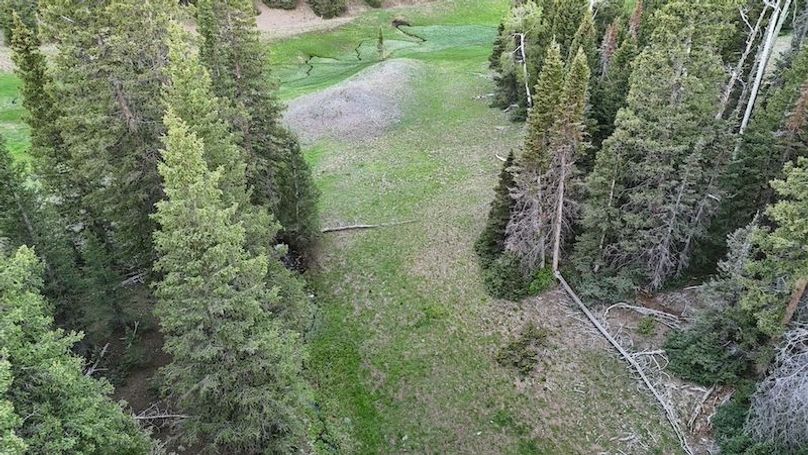 DJI_20250614062730_0123_D