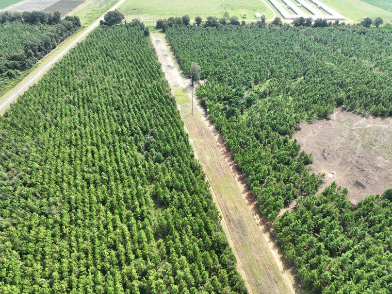 dji_fly_20230905_113936_625_1693928748501_photo