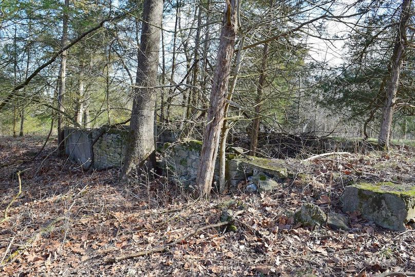 DSC_0282_inPixio (2)