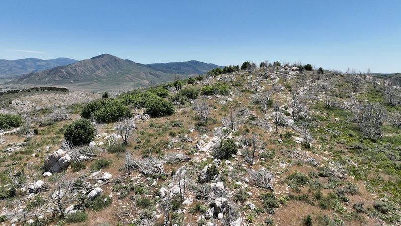 DJI_0420
