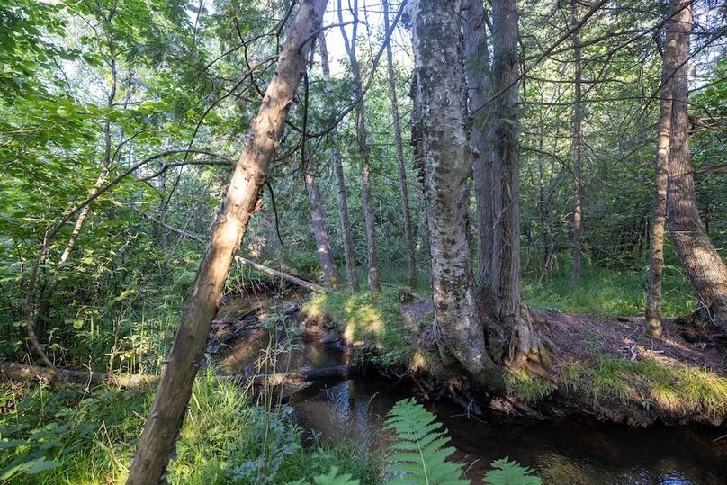 Mackinac 320 Copenhaver-102