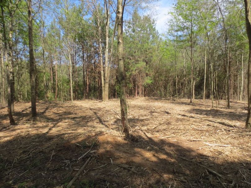 3DA2D540-91E9-4C86-9EE2-8278E8F4EE07_1_105_c