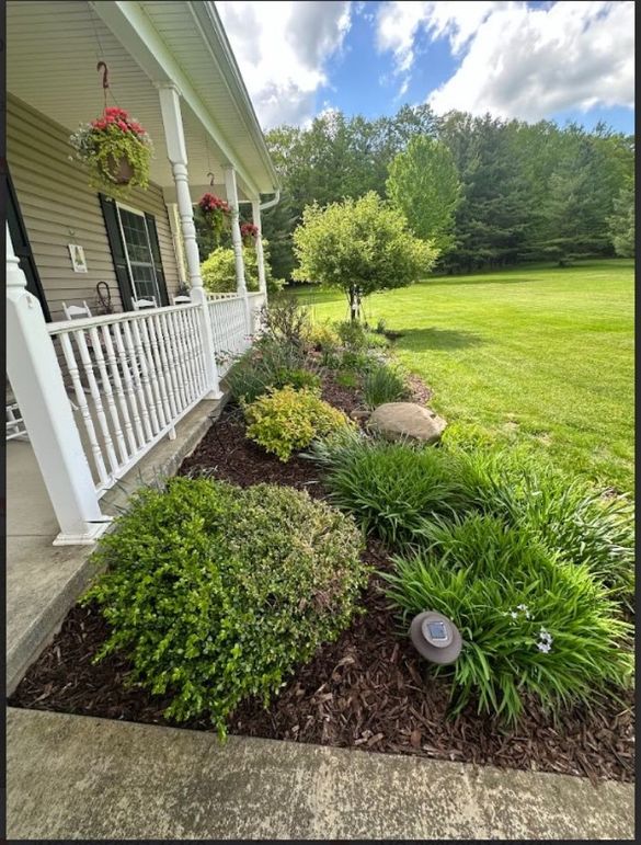 House Front Scherer