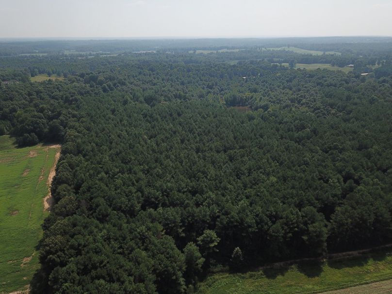 DJI_0041