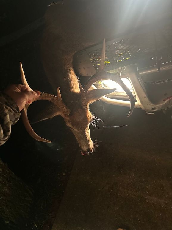 75703786538__7B4B9235-48B6-41AA-BAE6-0724129250E7