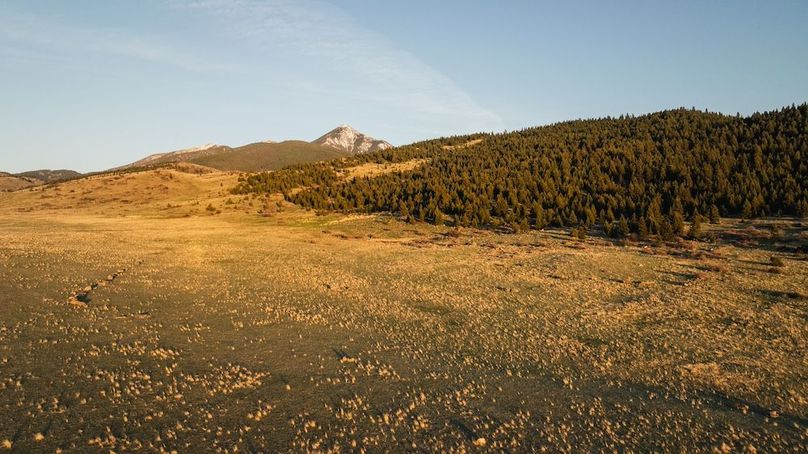 250501-DJI_0091