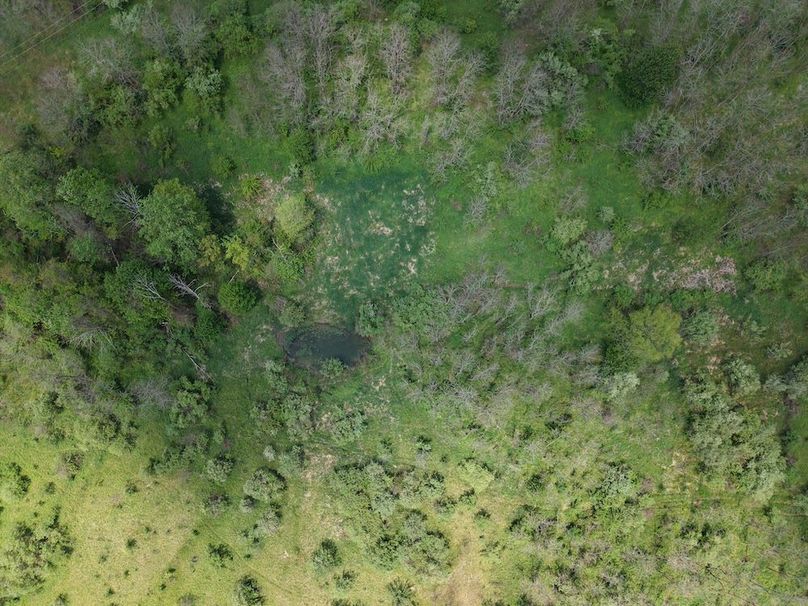 dji_fly_20260518_125158_0083_1779142044687_photo