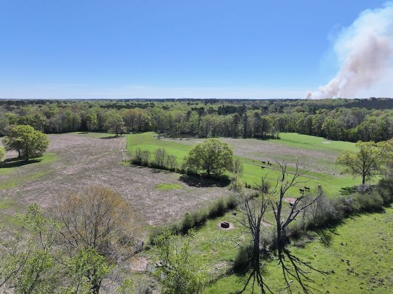 dji_fly_20260317_094146_0415_1773768871686_photo