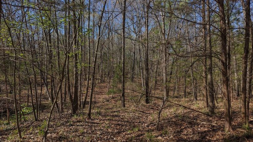 DJI_20260311012127_0043_D