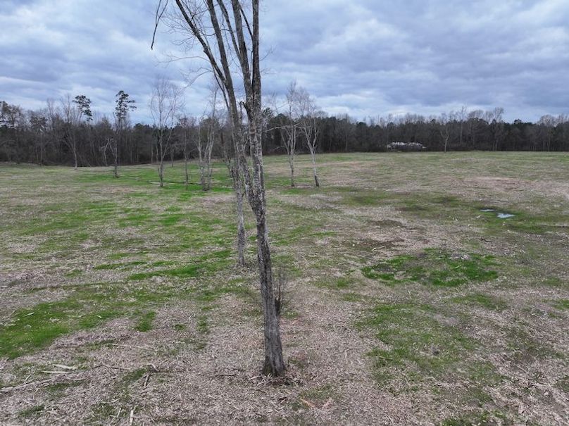 Copy of dji_fly_20260217_143846_0156_1771436903579_photo