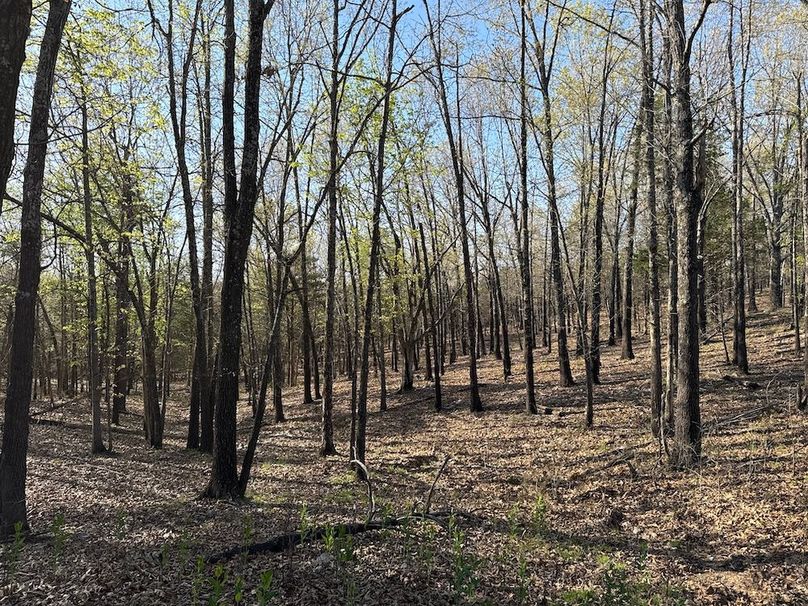 DJI_20260409_090521_258