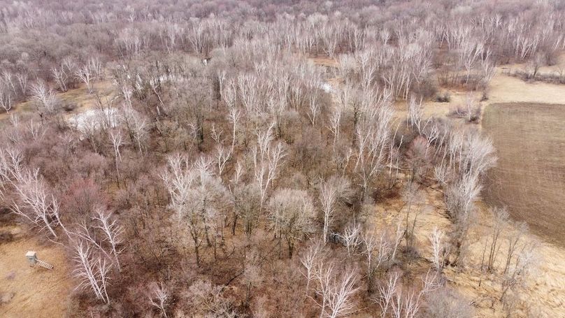 dji_fly_20240410_091104_309_1712758282990_photo_optimized