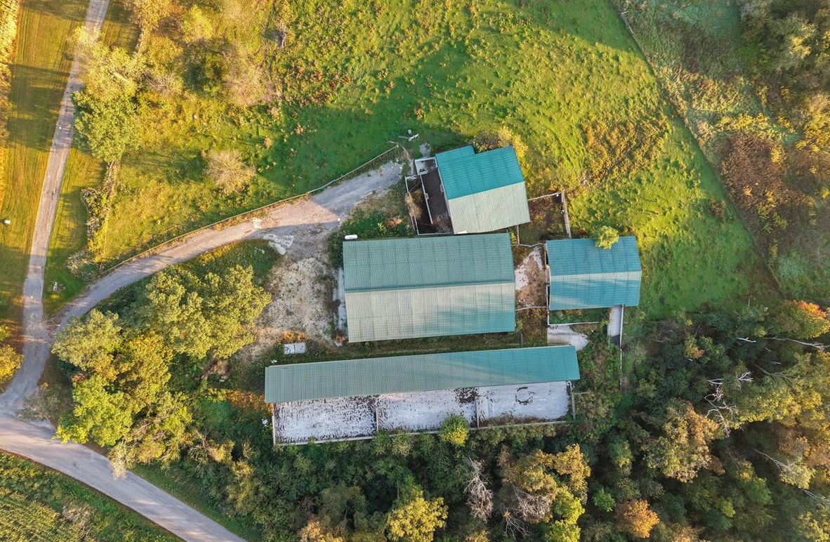 Monroe 5.31-07 Large