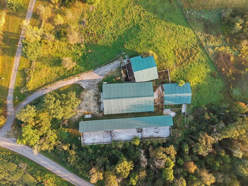 Monroe 5.31-07 Large