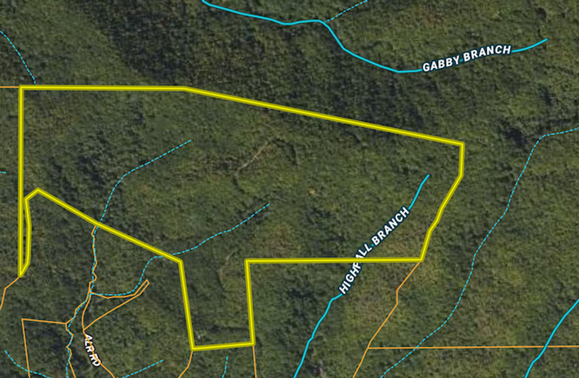 Screenshot 2024-07-16 at 11.21.14 AM