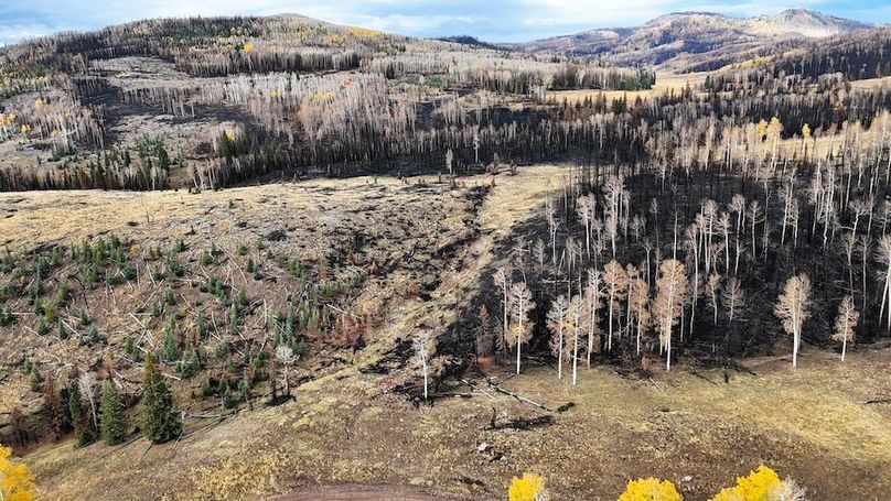 DJI_20250927082654_0029_D