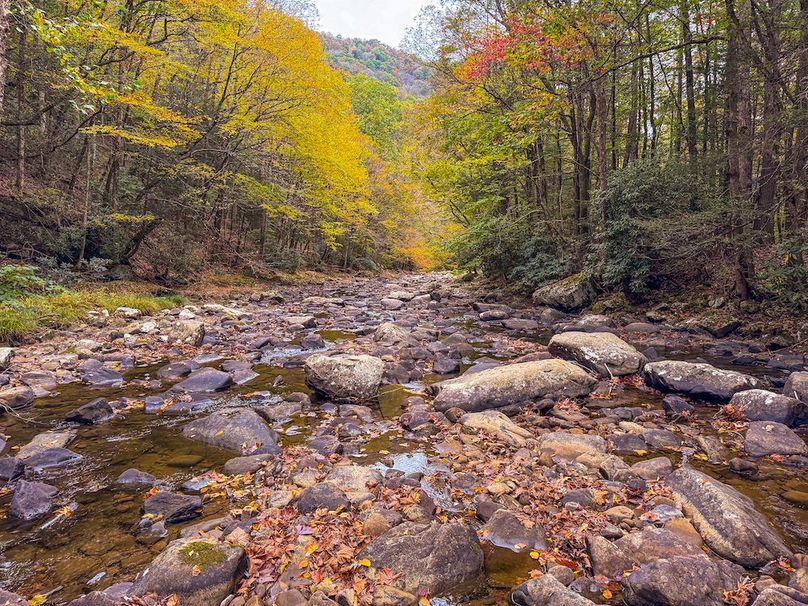 Webster, WV 13.8 AC Heldreth-17