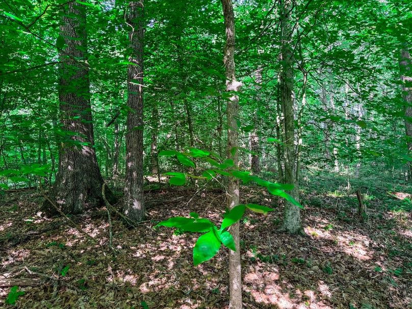 Ritchie, WV 20 AC Thompson-04