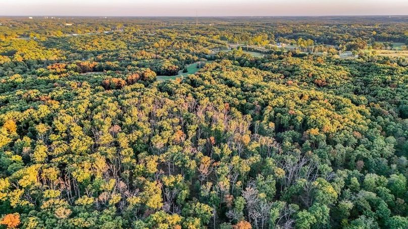 DJI_20251010174548_0038_D